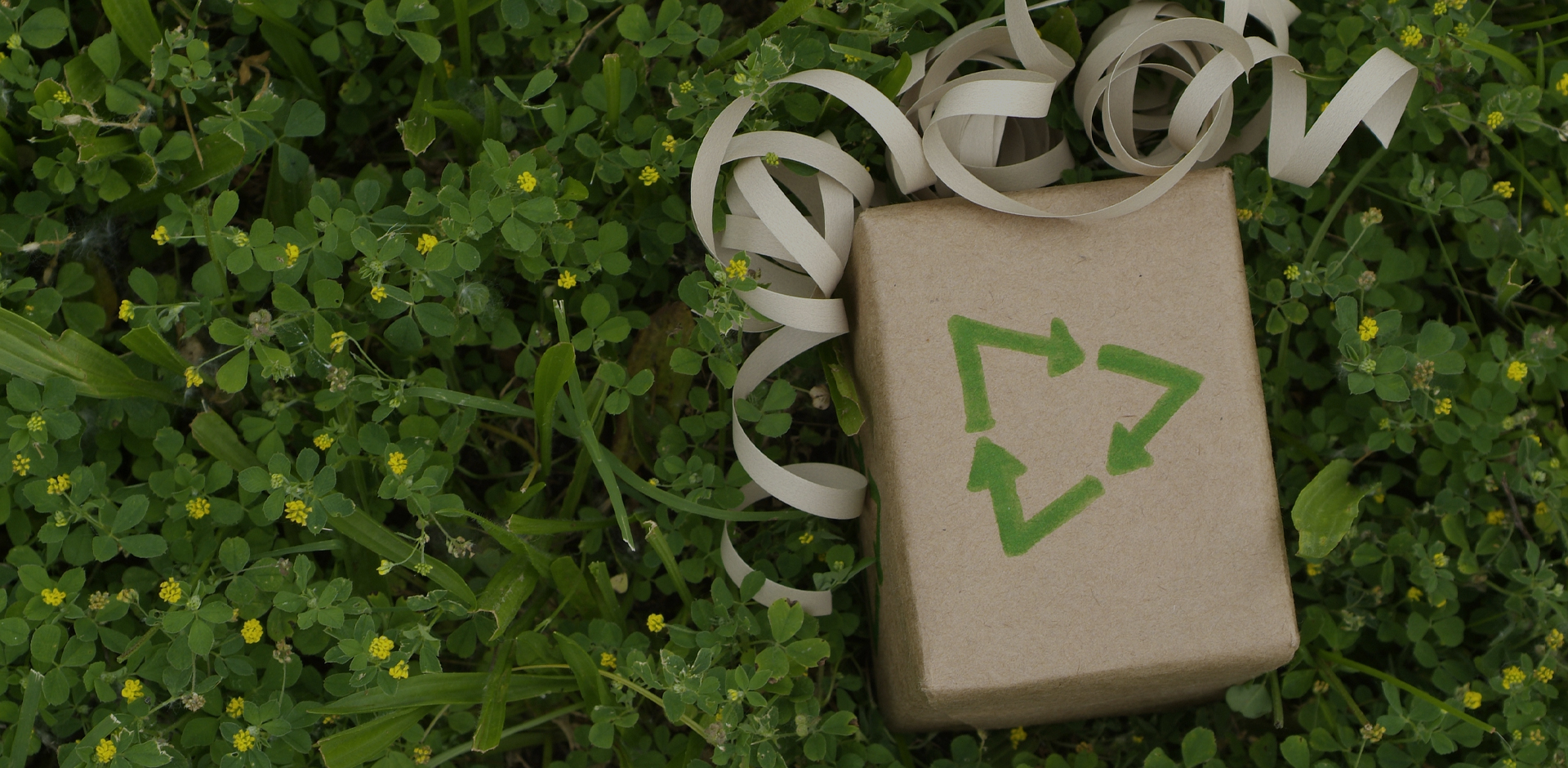 Wenchen Ambalaj Sizinle Sürdürülebilir Bir Ekoloji İnşa Ediyor